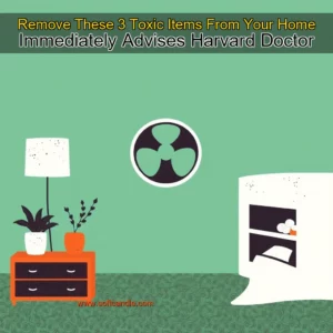 Read more about the article Remove These 3 Toxic Items From Your Home Immediately  Advises Harvard Doctor